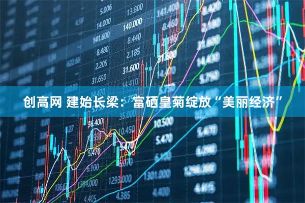 创高网 建始长梁：富硒皇菊绽放“美丽经济”