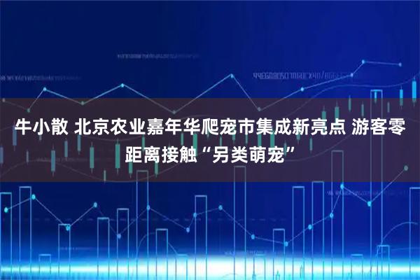 牛小散 北京农业嘉年华爬宠市集成新亮点 游客零距离接触“另类萌宠”