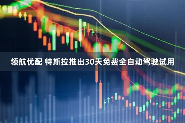 领航优配 特斯拉推出30天免费全自动驾驶试用