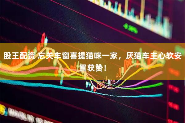 股王配资 忘关车窗喜提猫咪一家，厌猫车主心软安置获赞！