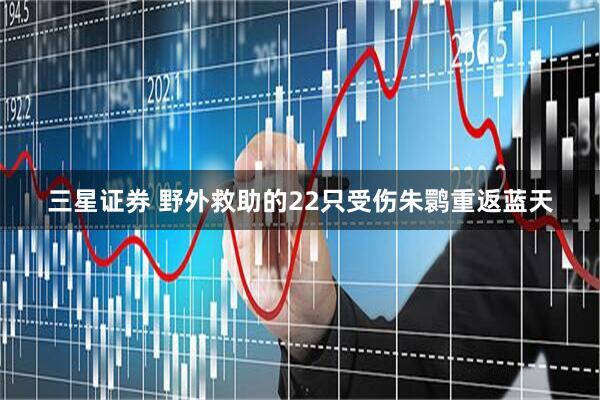 三星证券 野外救助的22只受伤朱鹮重返蓝天