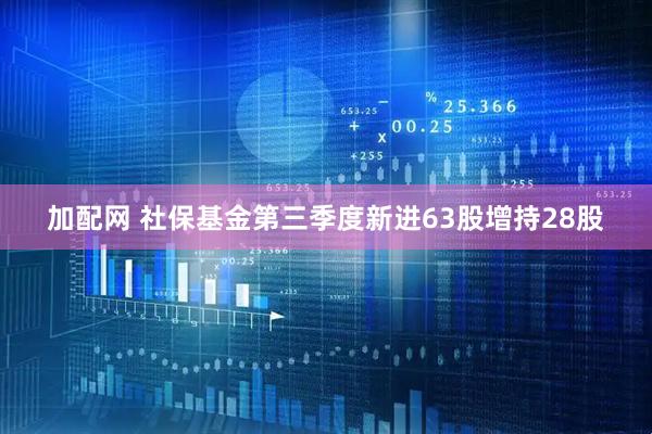 加配网 社保基金第三季度新进63股增持28股