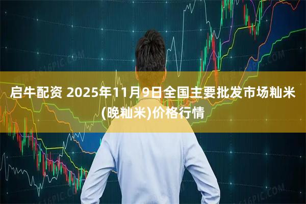 启牛配资 2025年11月9日全国主要批发市场籼米(晚籼米)价格行情