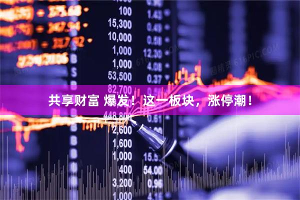 共享财富 爆发！这一板块，涨停潮！
