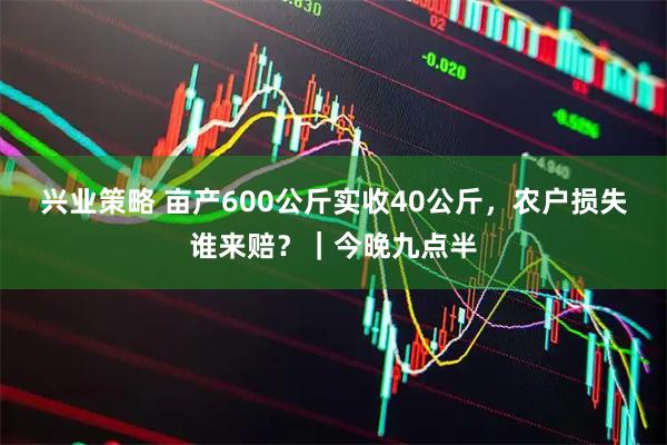 兴业策略 亩产600公斤实收40公斤，农户损失谁来赔？｜今晚九点半